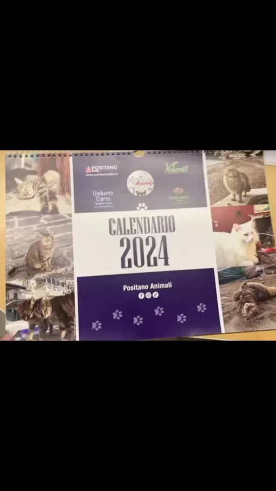 Foto dal profilo social di Umberto Carro Positano